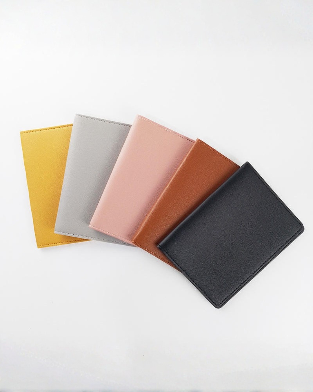 aesthetic passport holders